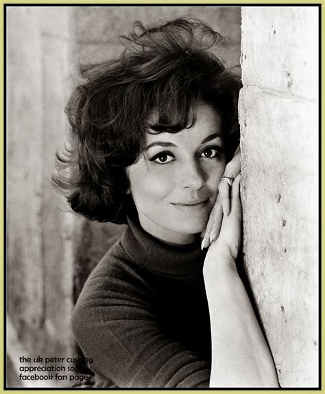 The Black Box Club: UPDATED: THE BARBARA SHELLEY GALLERY STARTS TODAY