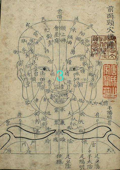 Asian Art Diagram of Acupuncture Chart reproduction Print | Etsy