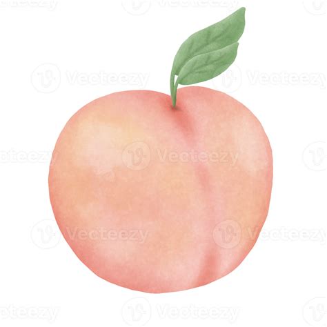 Peach fruit Illustration 27938799 PNG