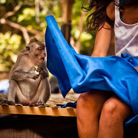 20+ Perfectly Timed Photos That Will Make You Look Twice