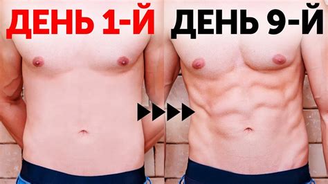 Я попробовал тренировку Baby Shark, и результат оказался чудесным ...