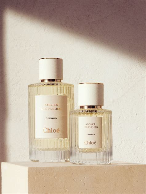 Chloé Atelier Des Fleurs Cedrus - Transparent | Editorialist in 2025