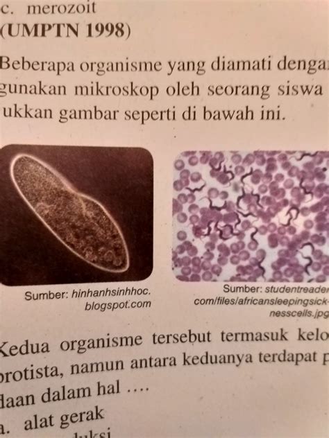 Istilah Sel Pertama Kali Dinyatakan Oleh