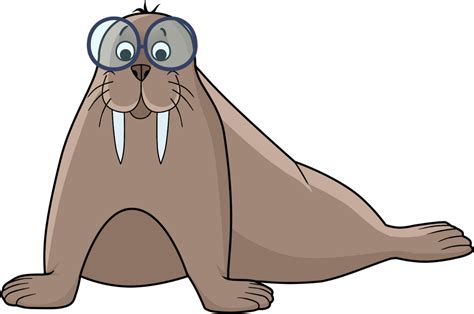 Walrus Clip Art - Png Download - Full Size Clipart (#2945535) - PinClipart