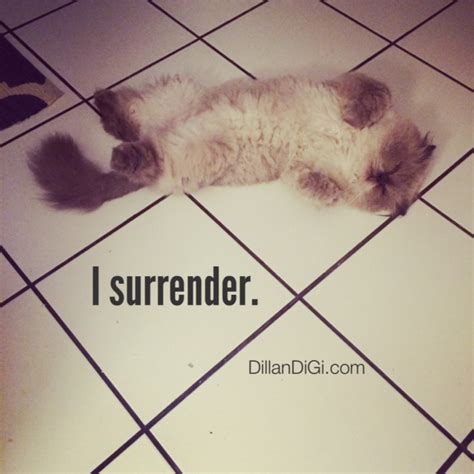 What To Do When You've Tried It All — Dillanspiration