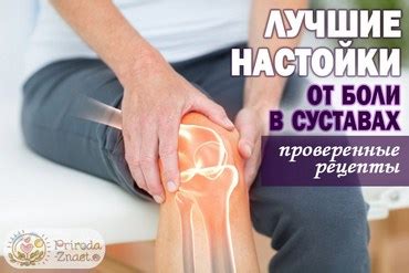 Настойка чаги против рака