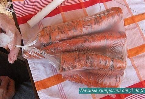 ПРОВЕРЕННЫЙ СПОСОБ ХРАНЕНИЯ МОРКОВИ Процесс сохранения моркови ...
