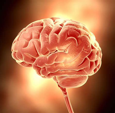 Your Mind...Its Not Only What You Think! - Evolutionary Intelligence