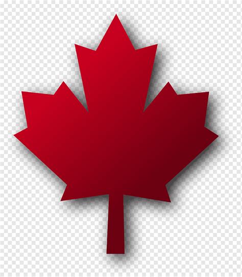 canada flag leaf maple png pngwing