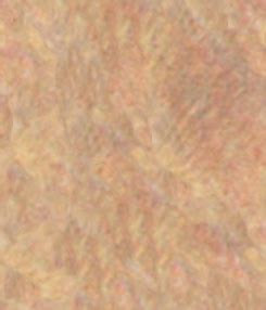 texture biologytissuejpg