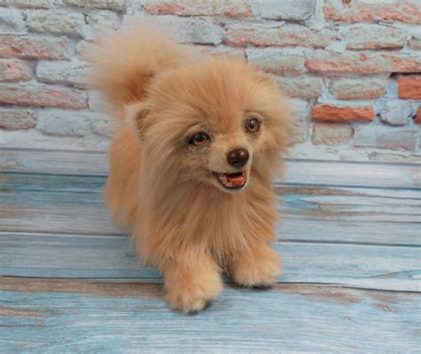 realistic toy puppy 11