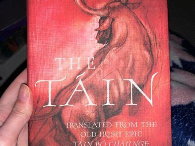 The Tain Book For Sale in Donnybrook, Dublin from islarose