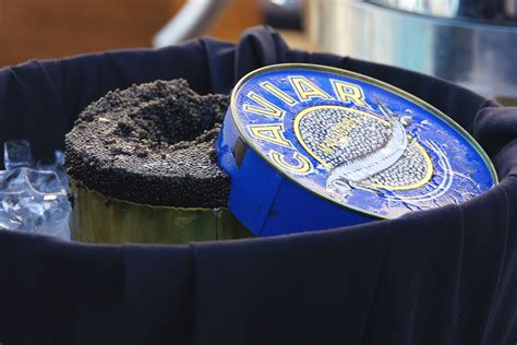 Free Images : food, drink, blue, eat, festival, caviar 2818x1879 ...