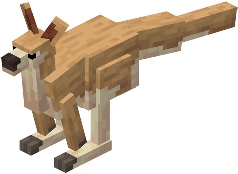 Kangaroo | Alex's Mobs Unofficial Wiki | Fandom
