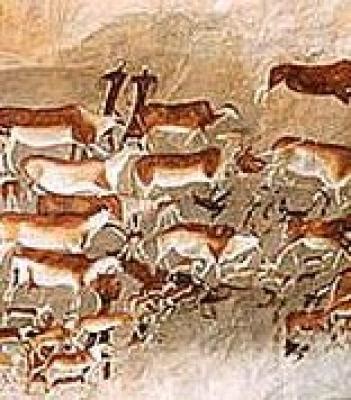 South Africa Cultural Heritage