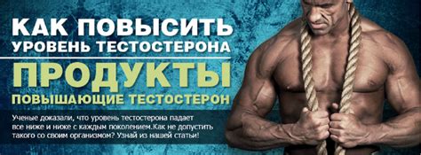 Тестостерон | lemur59.ru