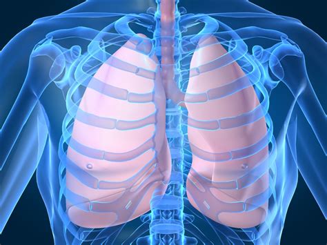 occupy lungs | The Tyranny of Tradition