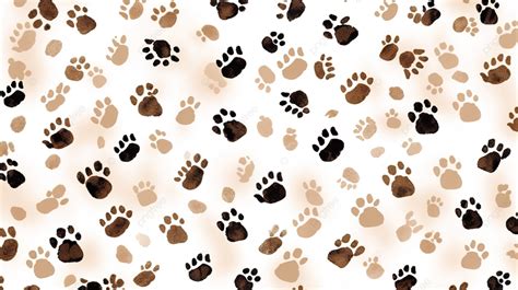 Fundo Patas De Cachorro - Fundo De Patas De Cachorro Adesivo De Pet Shop Gato E Cachorro 24