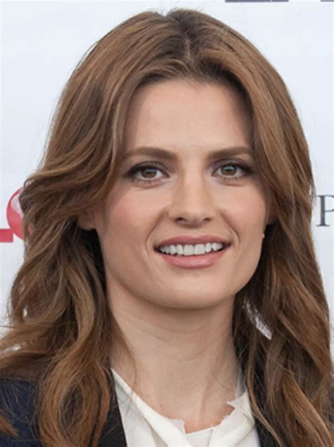 20 Facts About Stana Katic | FactSnippet