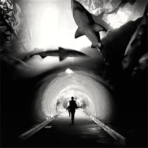 120 Amazing black and white photographs