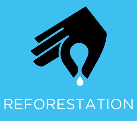 reforestation – Esperanza Verde