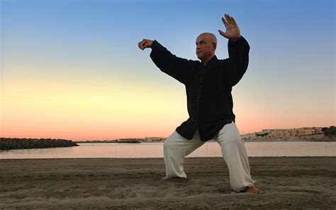 tai chi chuan ecole shin