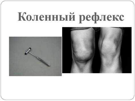 МедиаАзбука по теме «Нервная система» - online presentation
