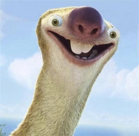 Thanks, I hate Sid the sloth : r/TIHI