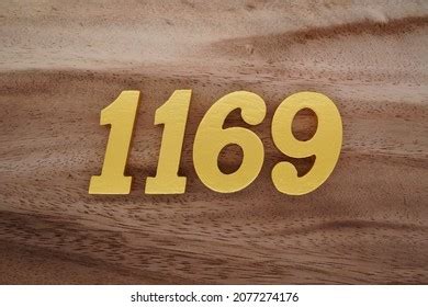65 1169 Royalty-Free Images, Stock Photos & Pictures | Shutterstock