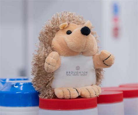 scenes   broughton team leader