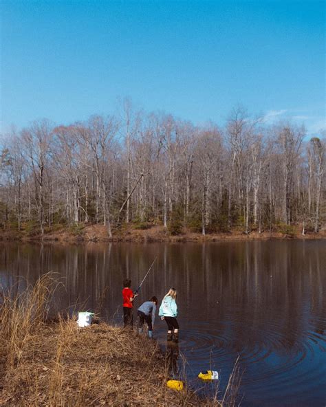 Brittany York Photography (@brittanyyorkphoto) • Instagram photos and