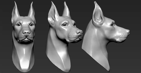 3D Printed Doberman Head by Albedo | Pinshape