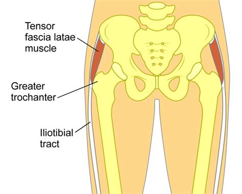 What's Causing Your Snapping Hip Syndrome? | Clinical Somatics