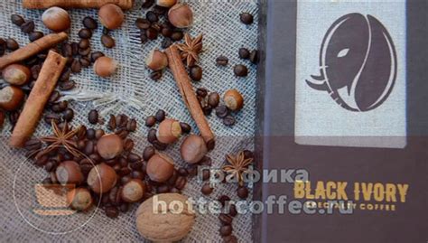 Какой кофе самый дорогой? Обзор самых дорогих сортов кофе в мире