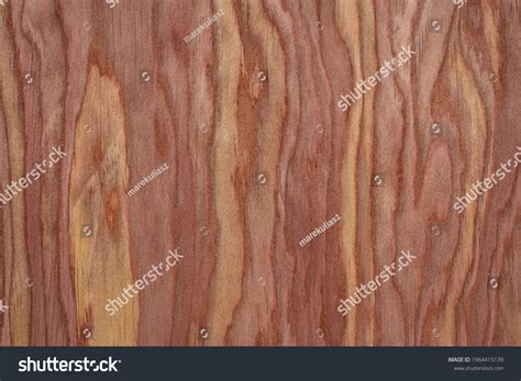 fotos de cedro rojo fotos imagenes  otros productos