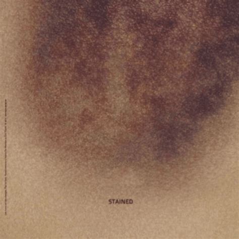 inssekt stained lyrics  tracklist genius