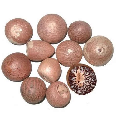 areca nut exporters  india