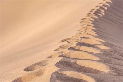 premium photo close   sand dunes  beach