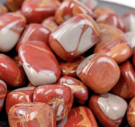 Jasper – Noreena Jasper | aromaG's Botanica