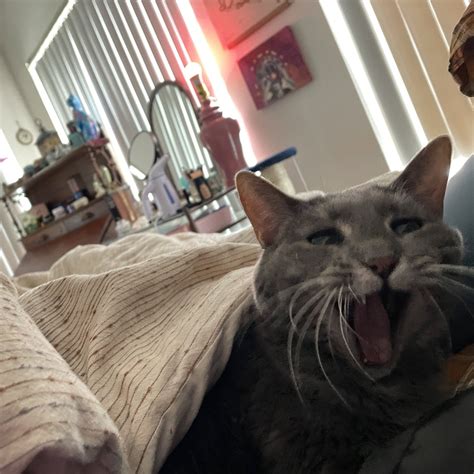 yaya ☻ THEY//THEM on Twitter: "@lilythevixen inside her exists 2