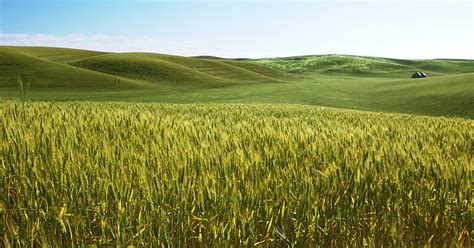 Field - Wikimedia Commons