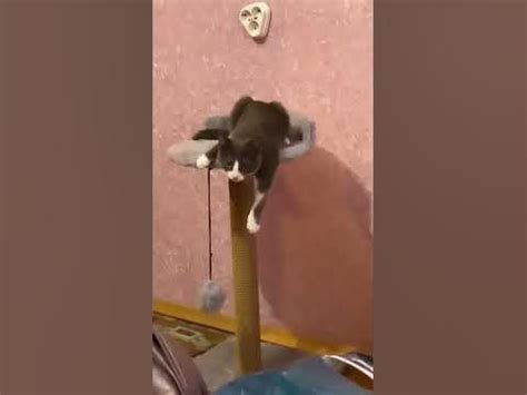 Сижу я и ничего не делаю. Потому что, что не делается, все к лучшему ...