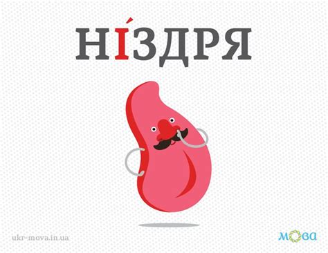 Наголос у слові «ніздря» | Ukrainian language, Foreign language ...