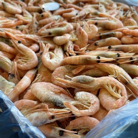 КОРОБКА 5 кг. Креветки Северные 250+: купить в Москве с доставкой от ...