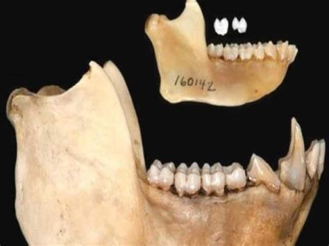 Scientists discovered 42 million year old monkey fossils वैज्ञानिकों ने ...