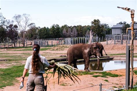 Taronga Western Plains Zoo - Explore, Dubbo | HUNTERhunter