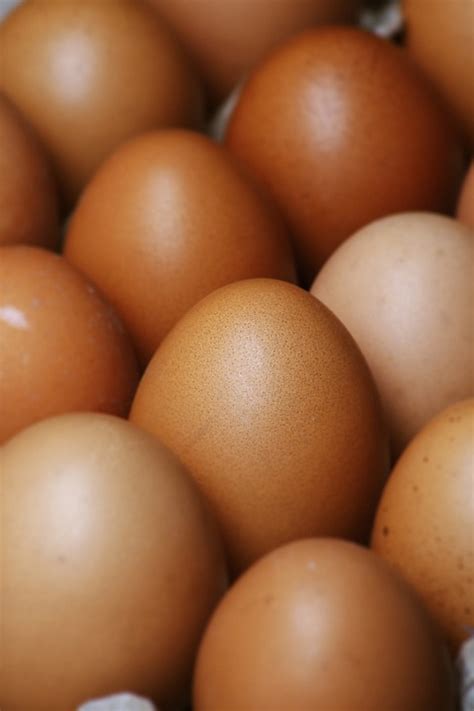 eggs ingredients baking  photo  pixabay