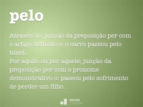 O Que Significa Pelo - Pelo - Dicio, Dicionário Online de Português