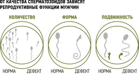 Признаки и симптомы бесплодия у мужчин