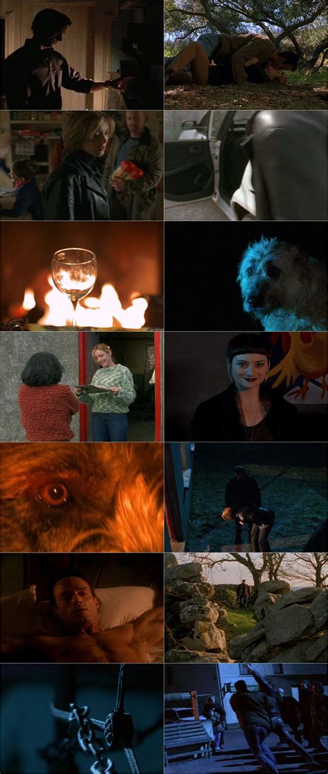 Pictures of Julie Cialini